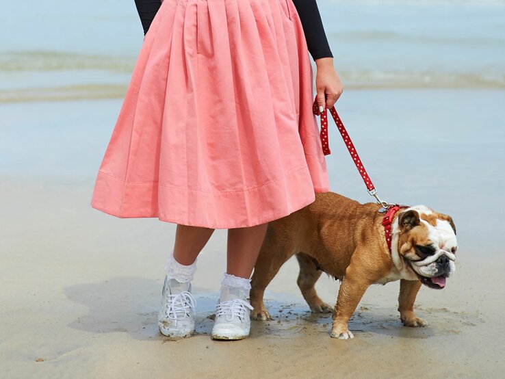 Untere Hälfte einer Frau, die an einem Strand spaziert. Sie trägt einen leuchtend rosa Rock und weiße Turnschuhe mit dazu passenden weißen Socken. An ihrer Seite geht ein Mops, der an einer roten Leine mit weißen Punkten geführt wird. 
