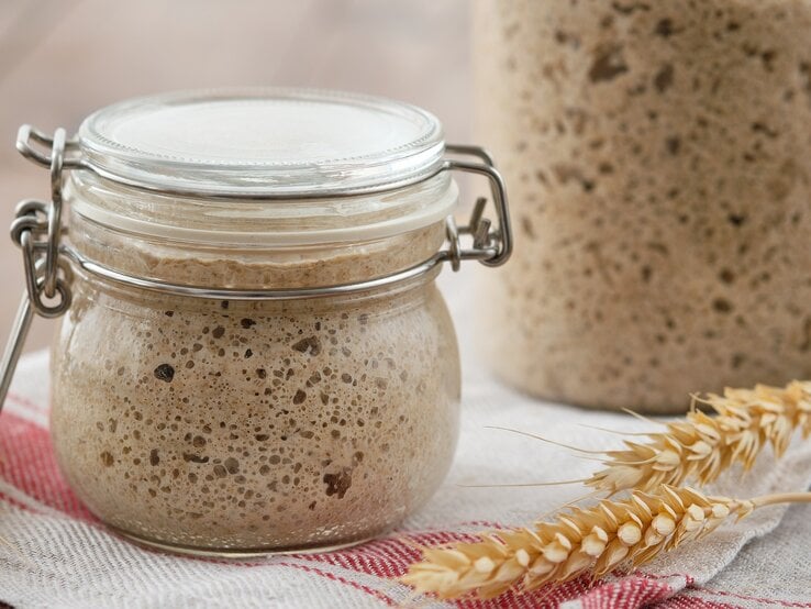 Frontal: Zwei Gläser mit einem großporigem Sauerteig auf einem Küchenhandtuch. So geht Sauerteig haltbar machen.