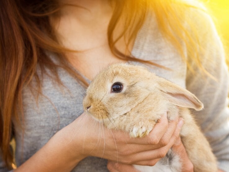 Junge Frau hält Kaninchen im Sonnenlicht auf dem Arm. 