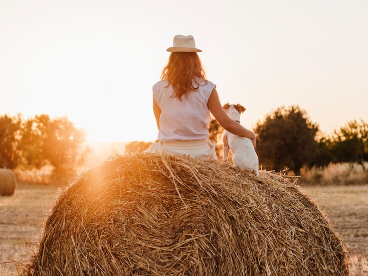 Frau und Hund sitzen auf einem Heuballen und genießen einen Sonnenuntergang auf einem Feld.