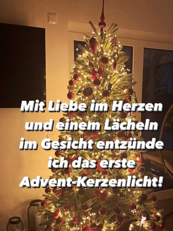 Advent Spruch auf einem Foto von einem hell beleuchteten Weihnachtsbaum, der festlich dekoriert ist.  | © BILD der FRAU 