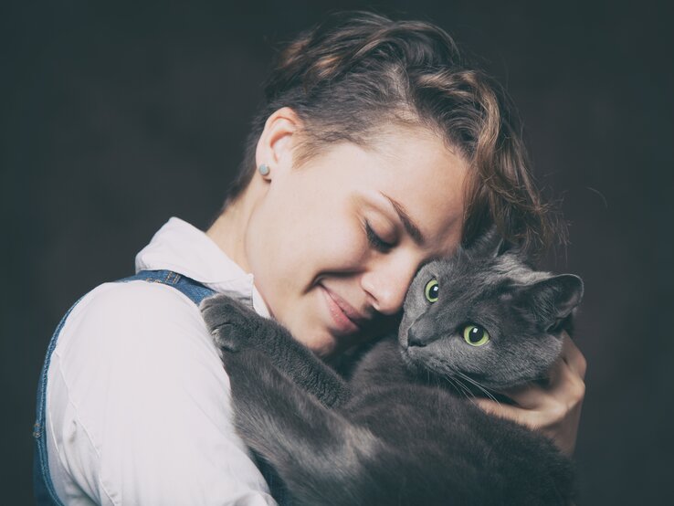 Russisch Blau Katze | © iStock/Olezzo