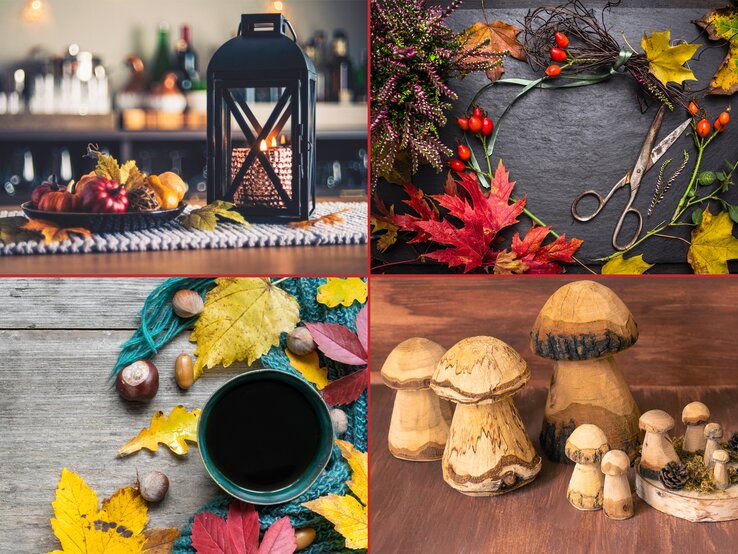 Herbstdeko_Mix | © iStock (4) Collage BILD der FRAU