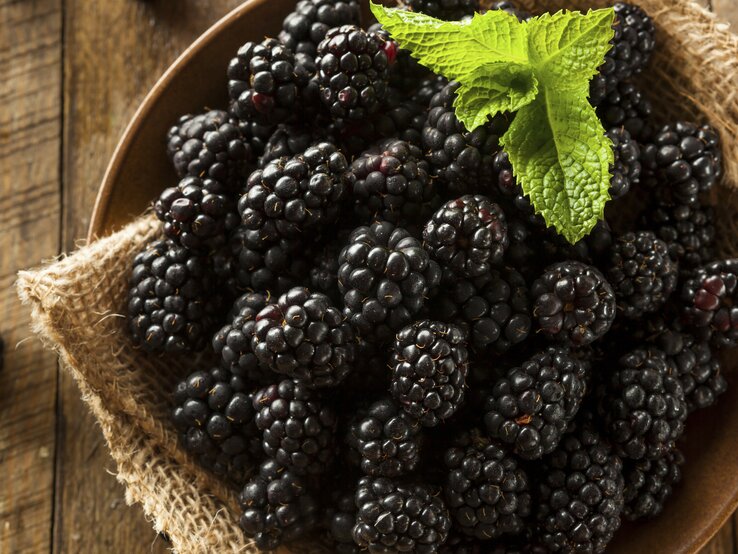 125 g Brombeeren haben 55 kcal. | © iStock/bhofack2