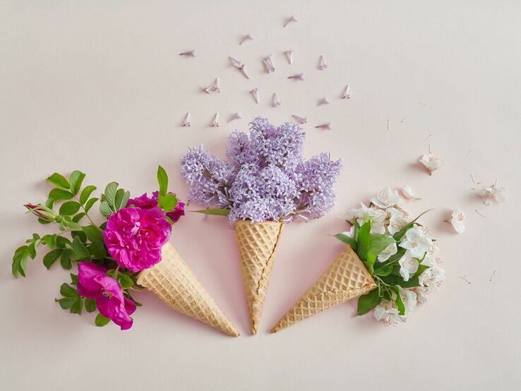 Drei Eiswaffeln gefüllt mit rosafarbenen, lila und weißen Blüten liegen auf einem hellen Hintergrund.