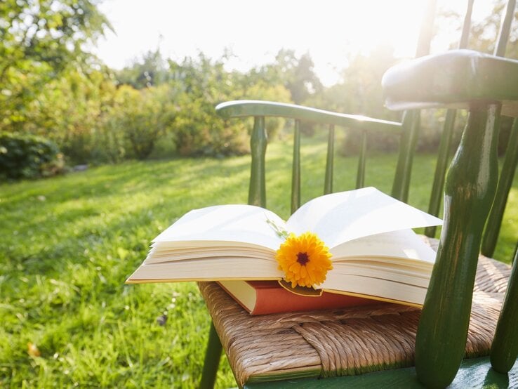 Ein aufgeschlagenes Buch mit einer gelben Blume liegt auf einem grünen Holzstuhl im sonnigen Garten.