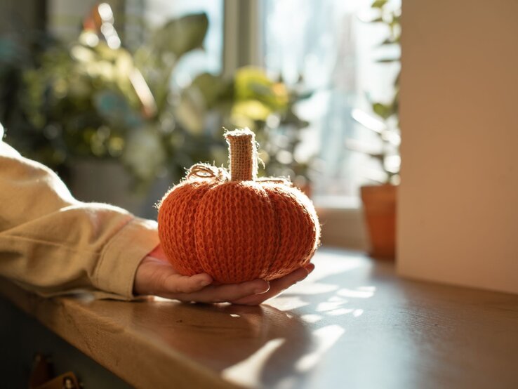 Eine Hand in beigem Ärmel hält einen gestrickten Kürbis in warmem Sonnenlicht auf einer Fensterbank, umgeben von Pflanzen.