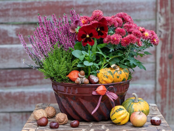 Ein herbstliches Blumengesteck mit Heidekraut, Chrysanthemen und Zierkürbissen in einer roten Schale auf Holzbank.