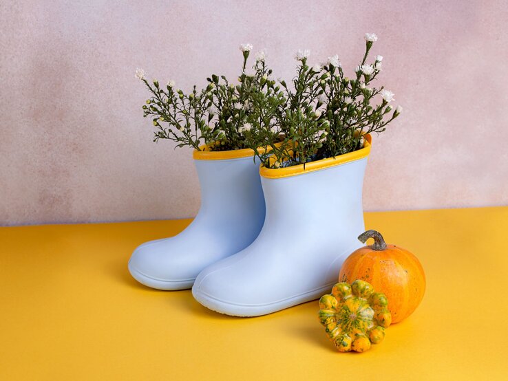 Hellblaue Gummistiefel als Vase mit weißen Blumen neben zwei kleinen Kürbissen auf gelbem Untergrund.