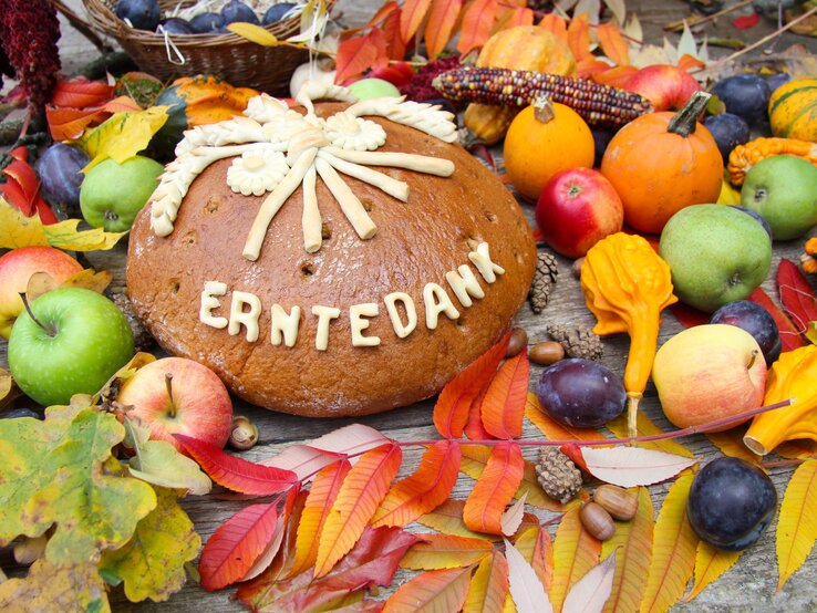 Großer Laib Erntedankbrot mit Verzierung liegt umgeben von Äpfeln, Kürbissen, Maiskolben und buntem Herbstlaub.