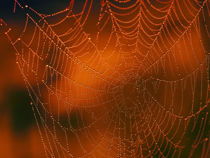 Ein selbst gebasteltes Spinnennetz mit Tautropfen glitzert im sanften Licht vor einem orangefarbenen, unscharfen Hintergrund.