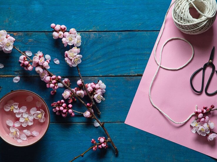 Blühende Kirschzweige mit rosa Blüten liegen auf einer blauen Holzfläche neben rosafarbenem Papier, Schnur und einer schwarzen Schere.