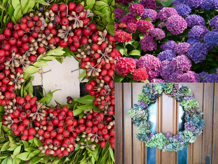 Türkranz Deko Herbst  Drei florale Arrangements: roter Beerenkranz, blühende Hortensien in Lila und Pink, pastellfarbener Türkranz aus Trockenblüten.