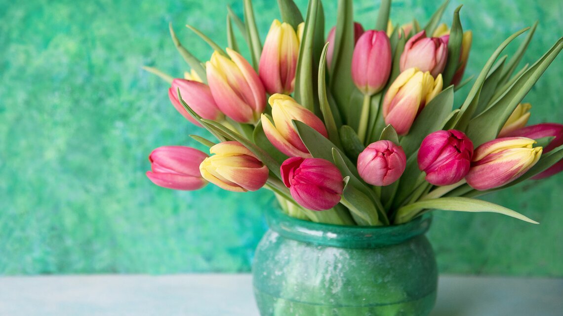 Tulpen haltbar machen: So bleibt dein Strauß doppelt so lange schön