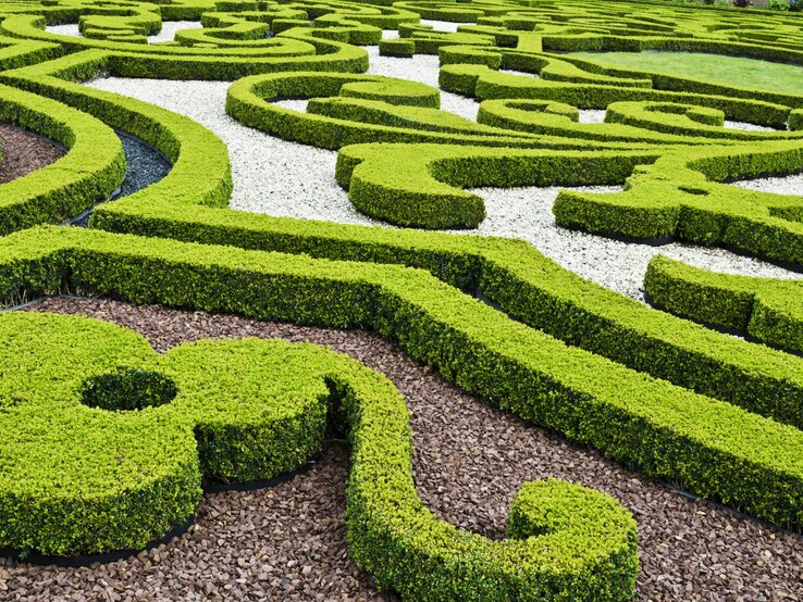 Buchsbäume sind komplex geschnitten worden und ähneln einem Labyrinth. | © Shutterstock/Twin Design