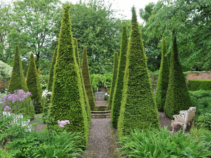 Buchsbäume in einem Garten sind pyramidenförmig geschnitten. | © Shutterstock/Sergey V Kalyakin