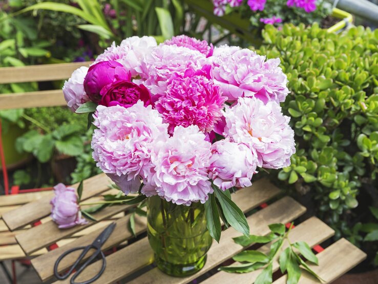 Ein Strauß aus rosa und fuchsia Pfingstrosen steht in einer grünen Vase auf einem Holztisch im Garten.