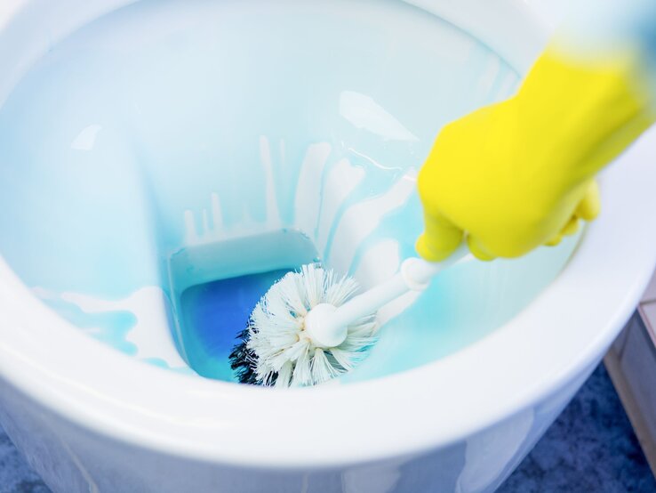 Eine Hand in gelbem Gummihandschuh reinigt mit einer weißen Bürste eine Toilette mit blauem Reinigungsmittel.