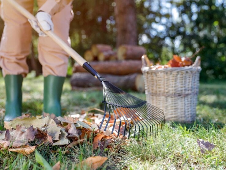 Eine Person in grünen Gummistiefeln und hellbrauner Hose harkt Laub im Garten neben einem Korb voller Blätter.