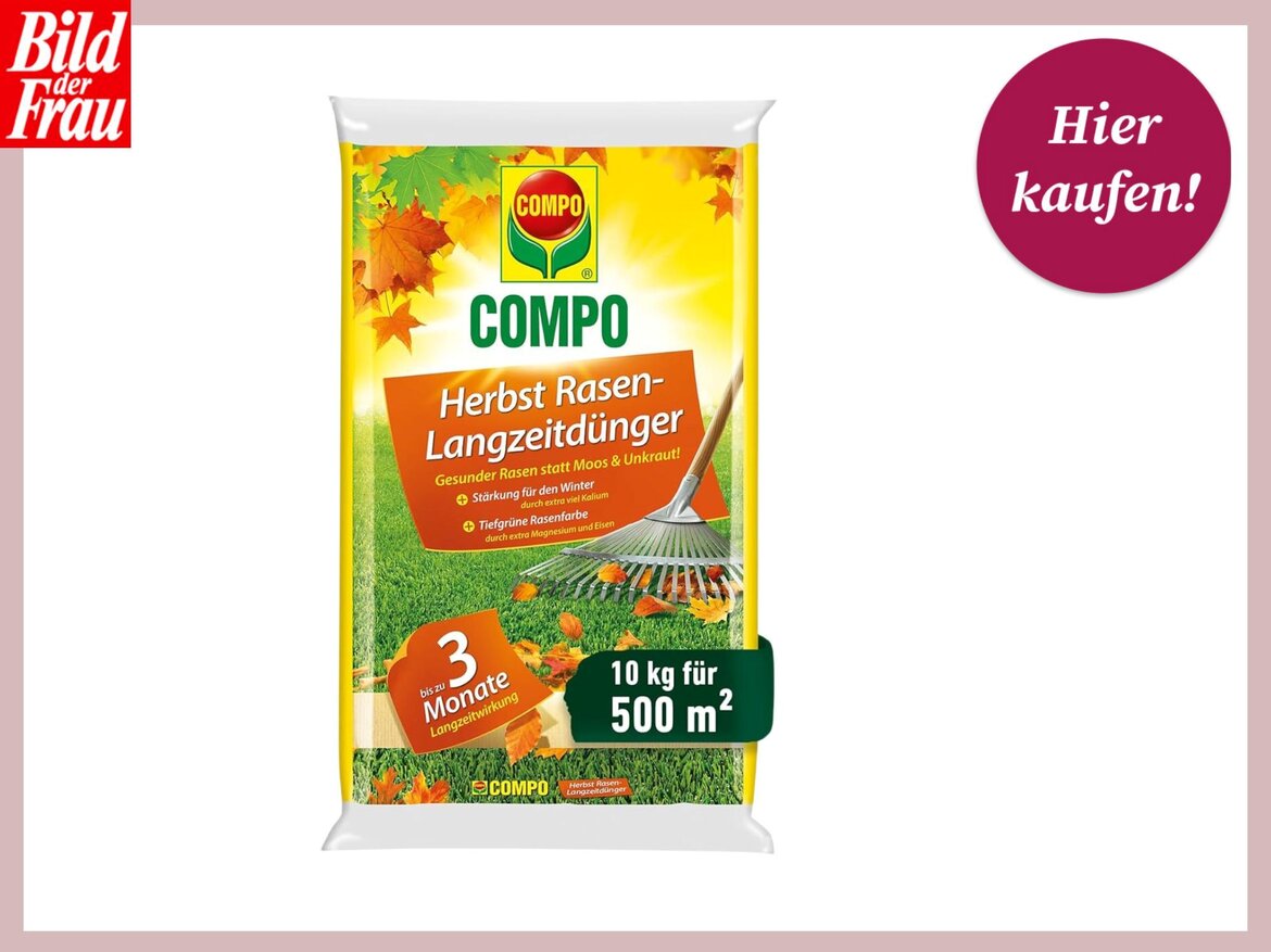 Verpackung des COMPO Herbst Rasen-Langzeitdüngers mit 10 kg Inhalt für 500 m², umgeben von Herbstlaubgrafiken. | © amazon