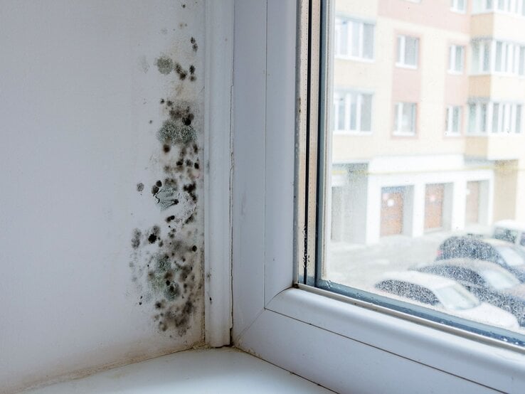 Schwarzer Schimmel an einer weißen Fensterlaibung mit deutlichen Flecken, daneben ein beschlagenes Fenster mit Blick auf eine Wohnanlage.