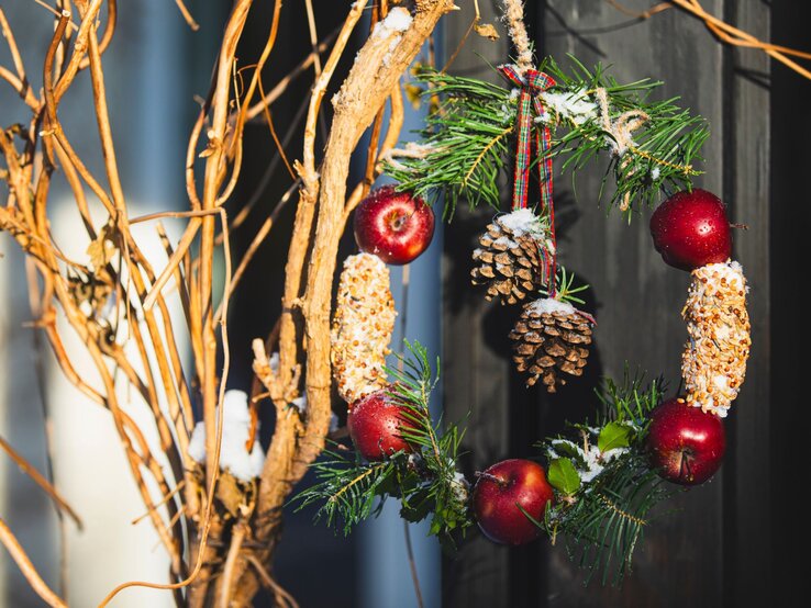 Ein runder Weihnachtskranz aus Vogelfutter hängt an einer Wand, umgeben von winterlichen Zweigen und festlichen Deko-Elementen. | © Shutterstock/iMarzi