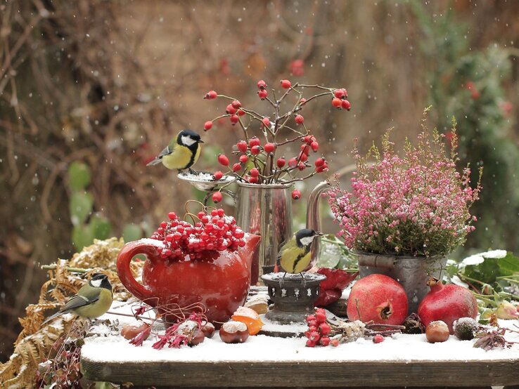 Ein mit Schnee bedeckter Tisch voller Winterdeko, darunter Hagebutten, eine rote Teekanne, Blumen und zwei Meisen. | © Shutterstock/Svetlana Gorbacheva