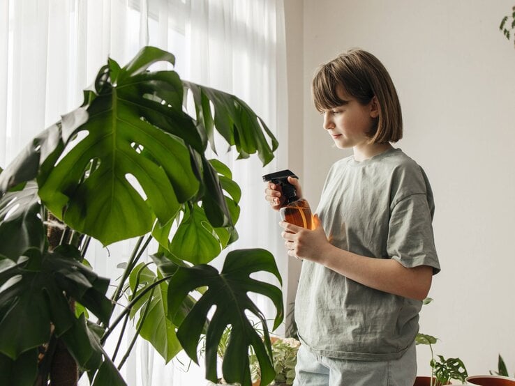 Ein junges Mädchen mit kinnlangem braunem Haar sprüht mit einer Sprühflasche Wasser auf die großen Blätter einer Monstera. | © IMAGO/Westend61