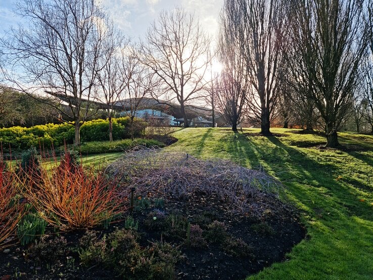 Kahles Beet im Garten bei Winter