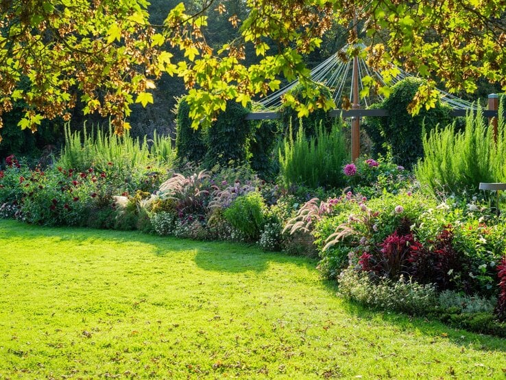 Sonnendurchfluteter Garten mit blühenden Stauden, dichten Sträuchern und einer grünen Wiese, umrahmt von einem Baum mit leuchtend gelbem Laub.