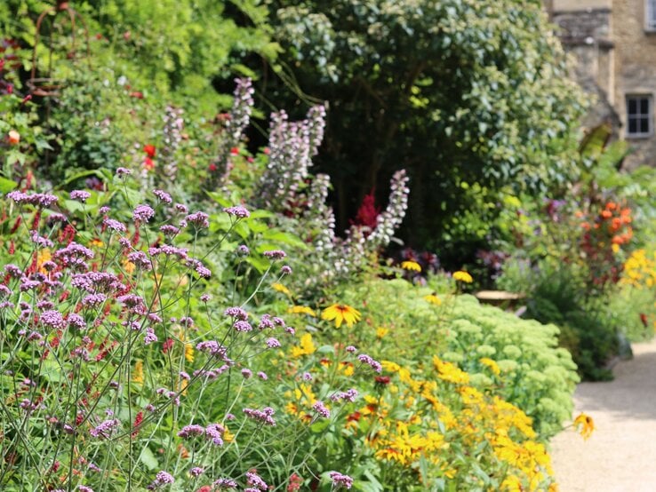 Farbenfroher Bauerngarten mit violettem Eisenkraut, gelben Sonnenhüten und üppigem Grün entlang eines geschwungenen Kieswegs. | © Shutterstock/Francesca Leslie