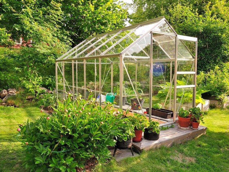 Ein sonnendurchflutetes Gewächshaus aus Glas mit üppigem Grün im Inneren, umgeben von blühenden Beeten und Topfpflanzen im Garten.