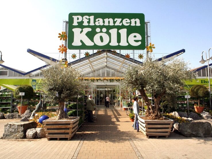 Der Eingang eines Gartencenters von Pflanzen Kölle mit zwei großen Olivenbäumen in Holzkübeln, umgeben von Pflanzen und Deko. | © IMAGO/HRSchulz