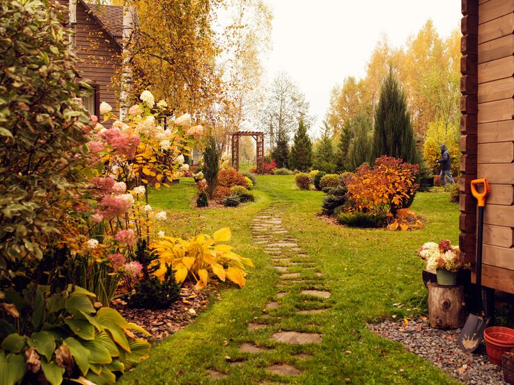 Warum Herbstastern die besten Gartenblumen für den Herbst sind Herbstlicher Garten