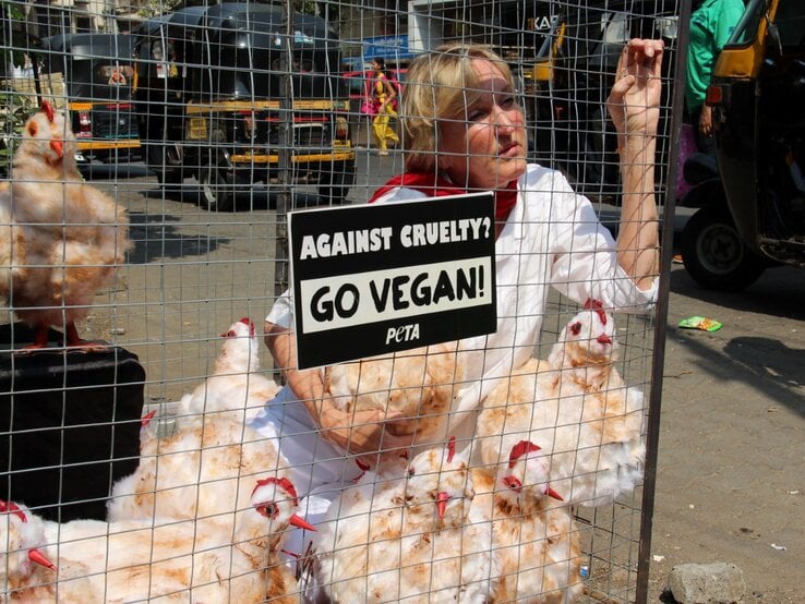 Protestaktion, bei der eine Frau, vermutlich eine Aktivistin, in einem Käfig neben mehreren Hühnern sitzt. Sie trägt ein weißes Oberteil und einen roten Schal. Auf einem Schild vor ihr steht die Botschaft „Against cruelty? Go vegan!“ und das Logo von PETA.