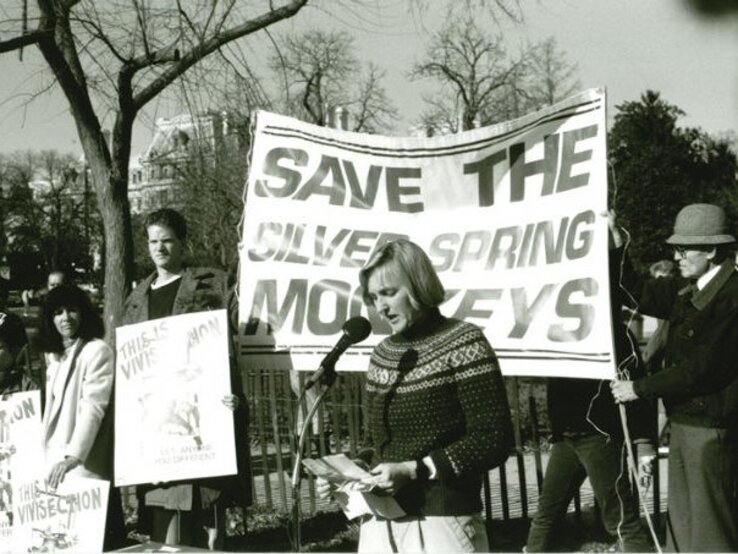 Öffentliche Demonstration, bei der eine Frau mit einem Mikrofon spricht. Sie trägt einen gemusterten Pullover und steht vor einem großen Banner mit der Aufschrift "SAVE THE SILVER SPRING MONKEYS". | © PETA