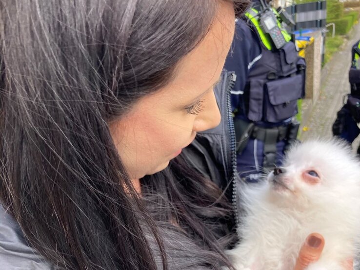 Frau mit langen dunklen Haaren, die einen kleinen weißen Hundewelpen hält. Die Frau betrachtet den Welpen liebevoll, während dieser sie mit aufmerksamen Augen ansieht. | © PETA Deutschland e.V.