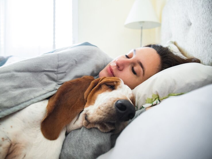 Frau, die zusammen mit ihrem Hund in einem Bett schläft. Beide liegen friedlich nebeneinander unter einer Decke.