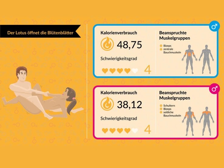 Illustration eines Paares in einer sportlichen Pose, begleitet von Kalorienverbrauchsdaten und beanspruchten Muskelgruppen auf gelbem Hintergrund. | © www.meinefitness.net