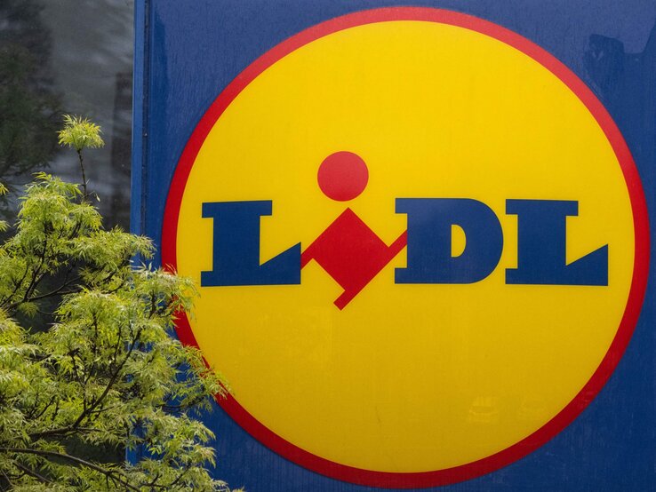 Großes Lidl-Logo auf blauem Hintergrund, links ein grüner Busch oder Baumzweig im Vordergrund.