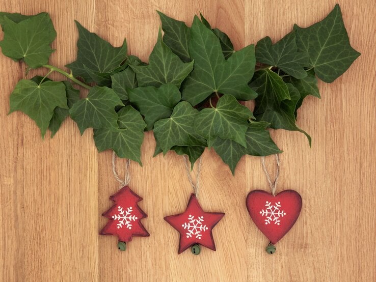 Efeuranke mit großen grünen Blättern liegt dekorativ auf hellem Holz, darunter hängen rote Weihnachtsanhänger in Baum-, Stern- und Herzform.